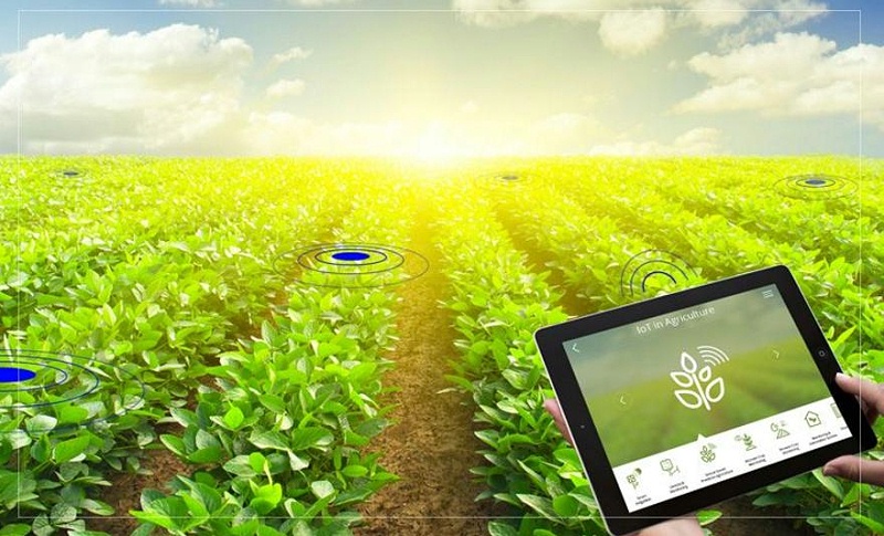 智慧农业动环监控系统